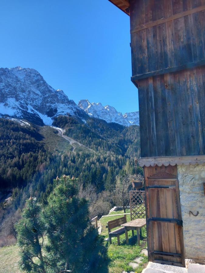 Chalet La Rite Dolomiti Masarie Εξωτερικό φωτογραφία